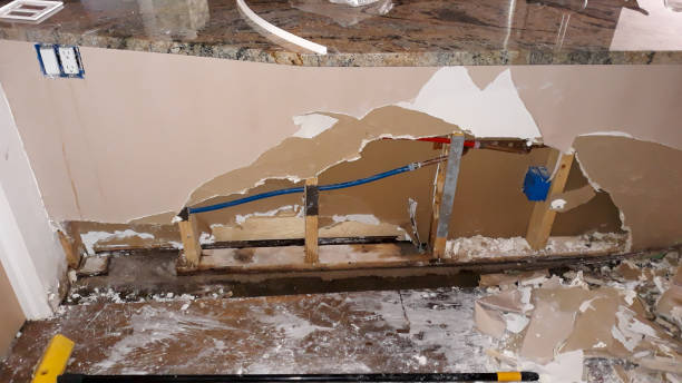 Best Sewage cleanup and water damage restoration  in Seyur, MO