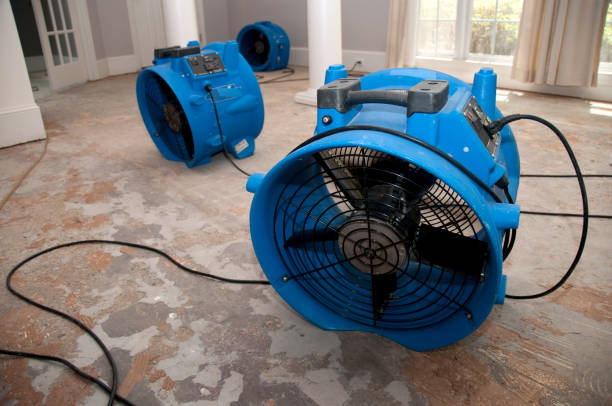 Best Commercial water damage restoration  in Seyur, MO