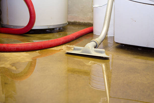 Best Flood damage cleanup  in Seyur, MO