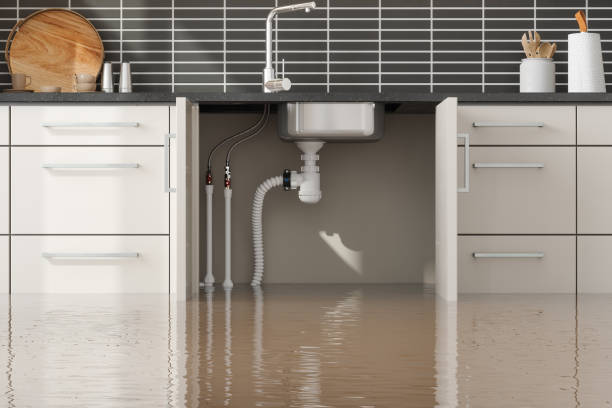 Best Professional water damage repair  in Seyur, MO