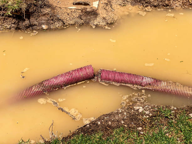 Best 24/7 water damage repair  in Seyur, MO