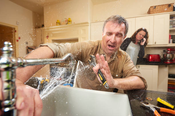 Best Local water damage restoration  in Seyur, MO